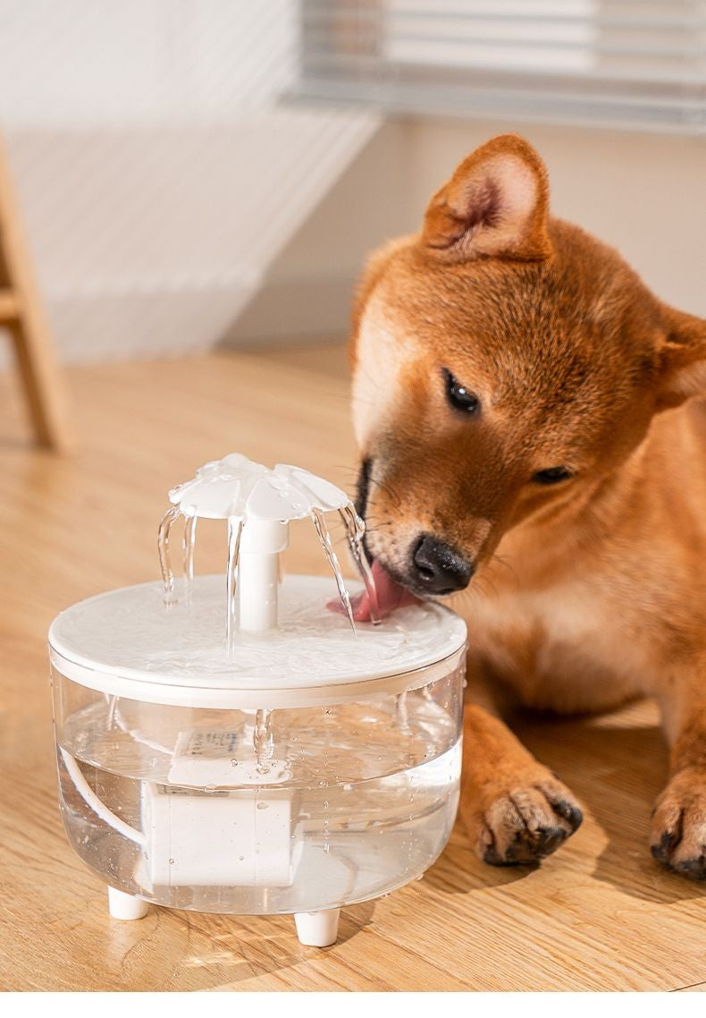 Usb elétrico mudo 1l fonte de água para animais de estimação automático gat